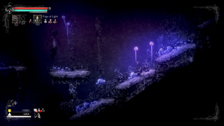 Salt and Sanctuary